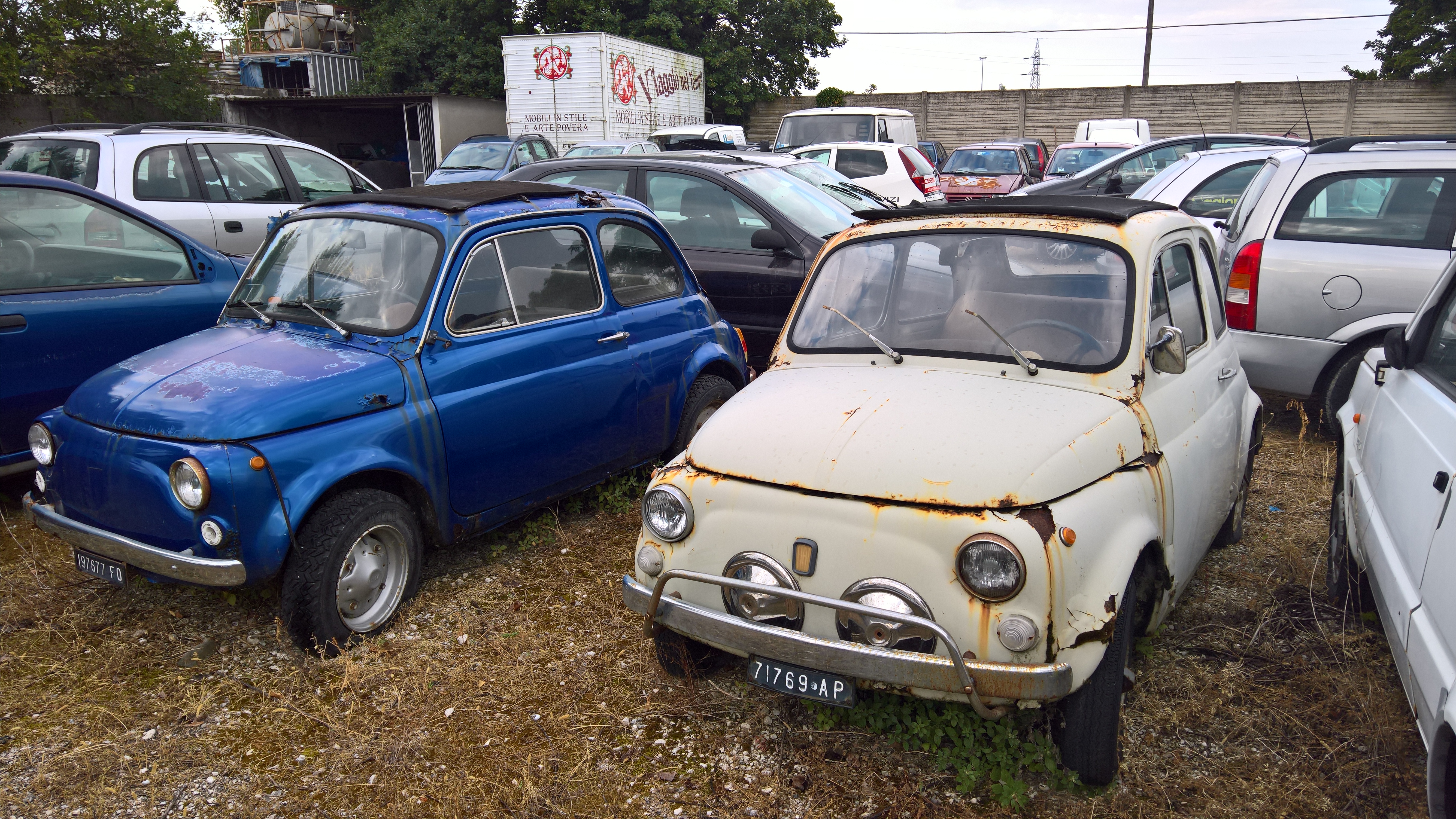 WP 20170615 07 55 48 Rich